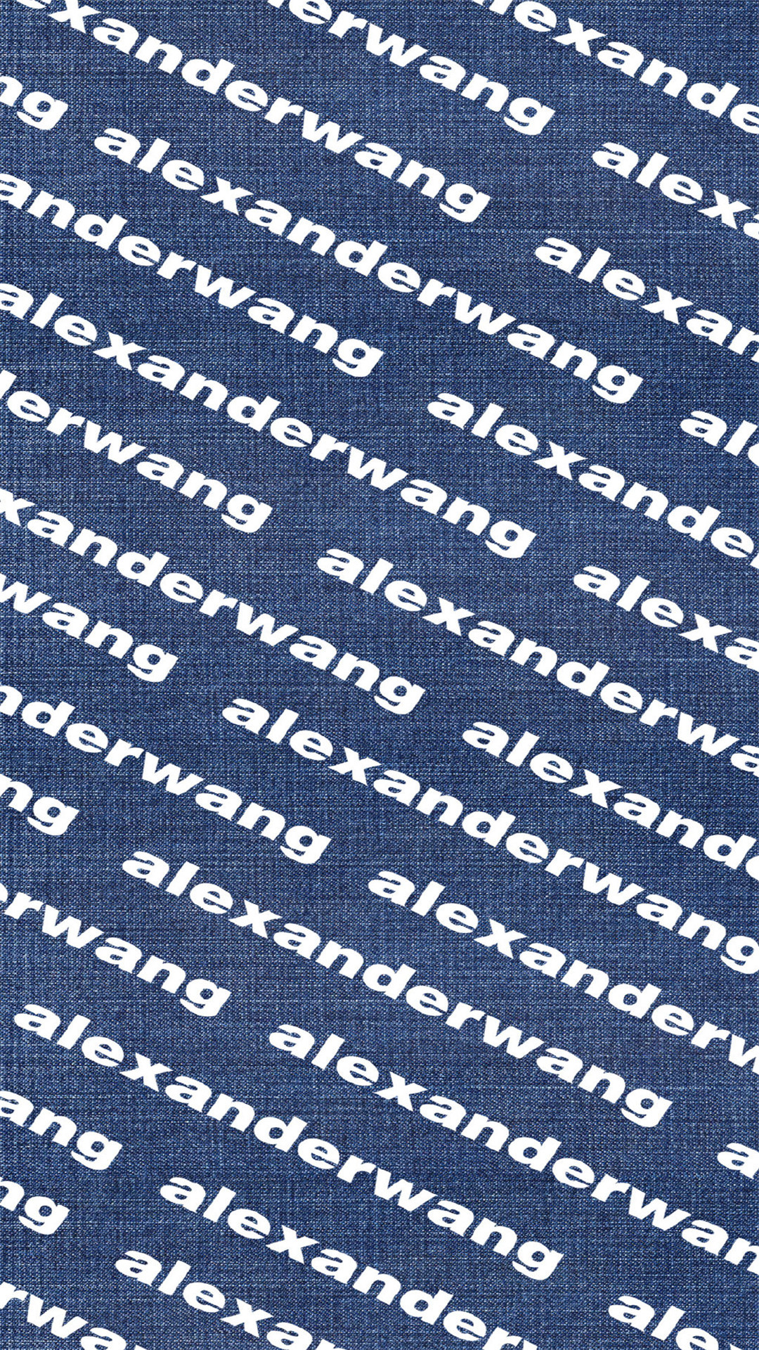 alexanderwang创意时尚好看的抖音壁纸